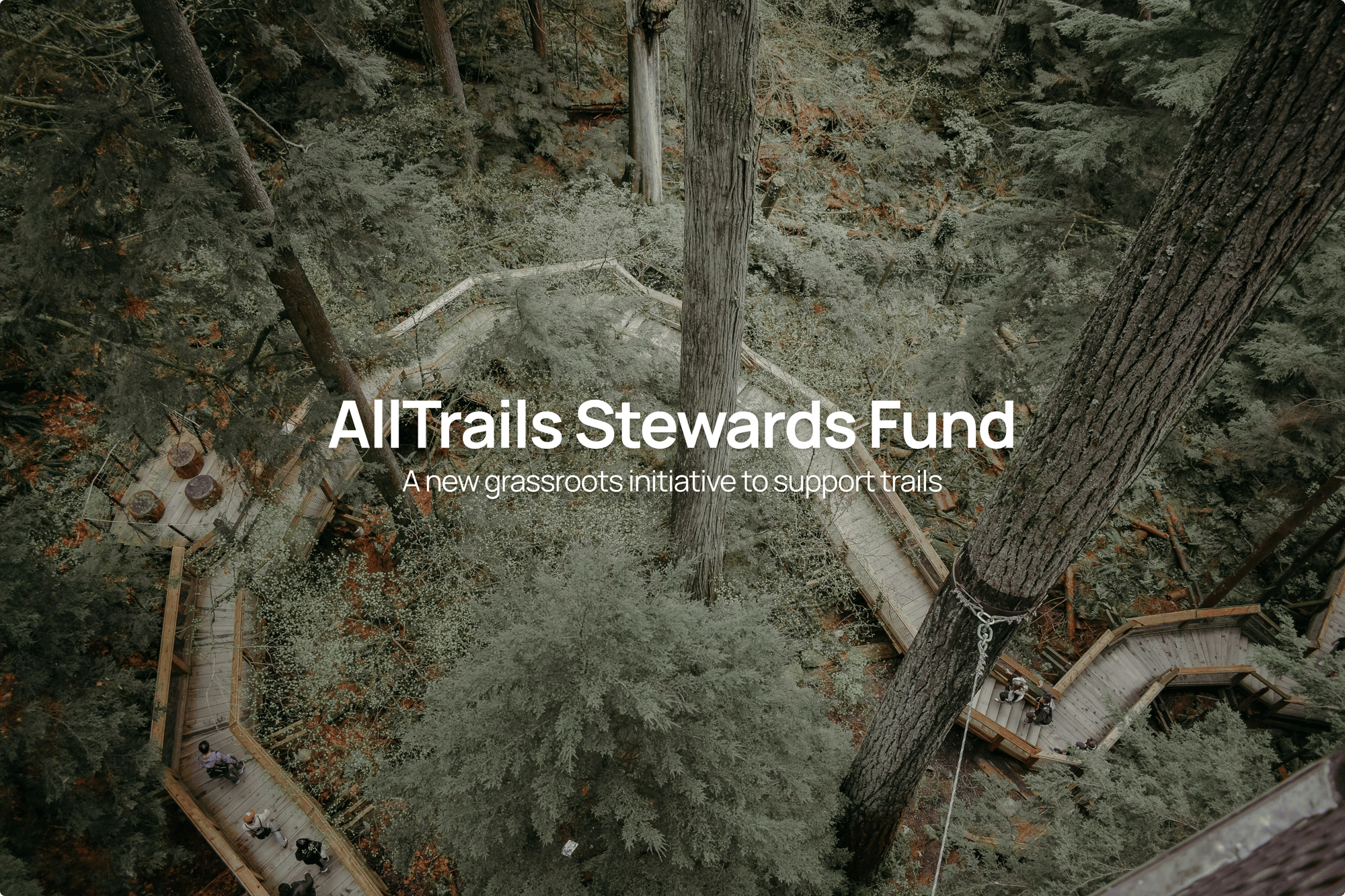 AT-Stewards Fund-Email Header-Aug2025