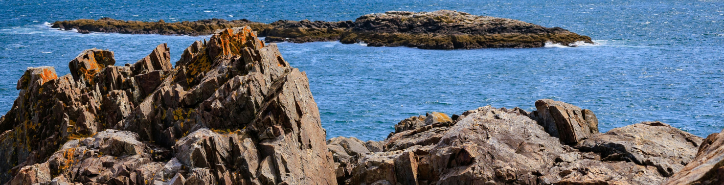 ANP -  Header