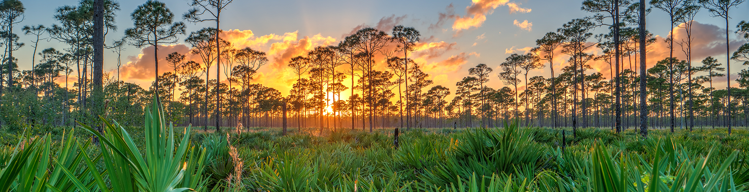 MartinCountyHeader MartinCountyHeader