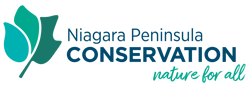 NPCA 2023 - NFA - Colour